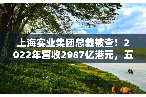 上海实业集团总裁被查！2022年营收2987亿港元，五大上市平台受影响